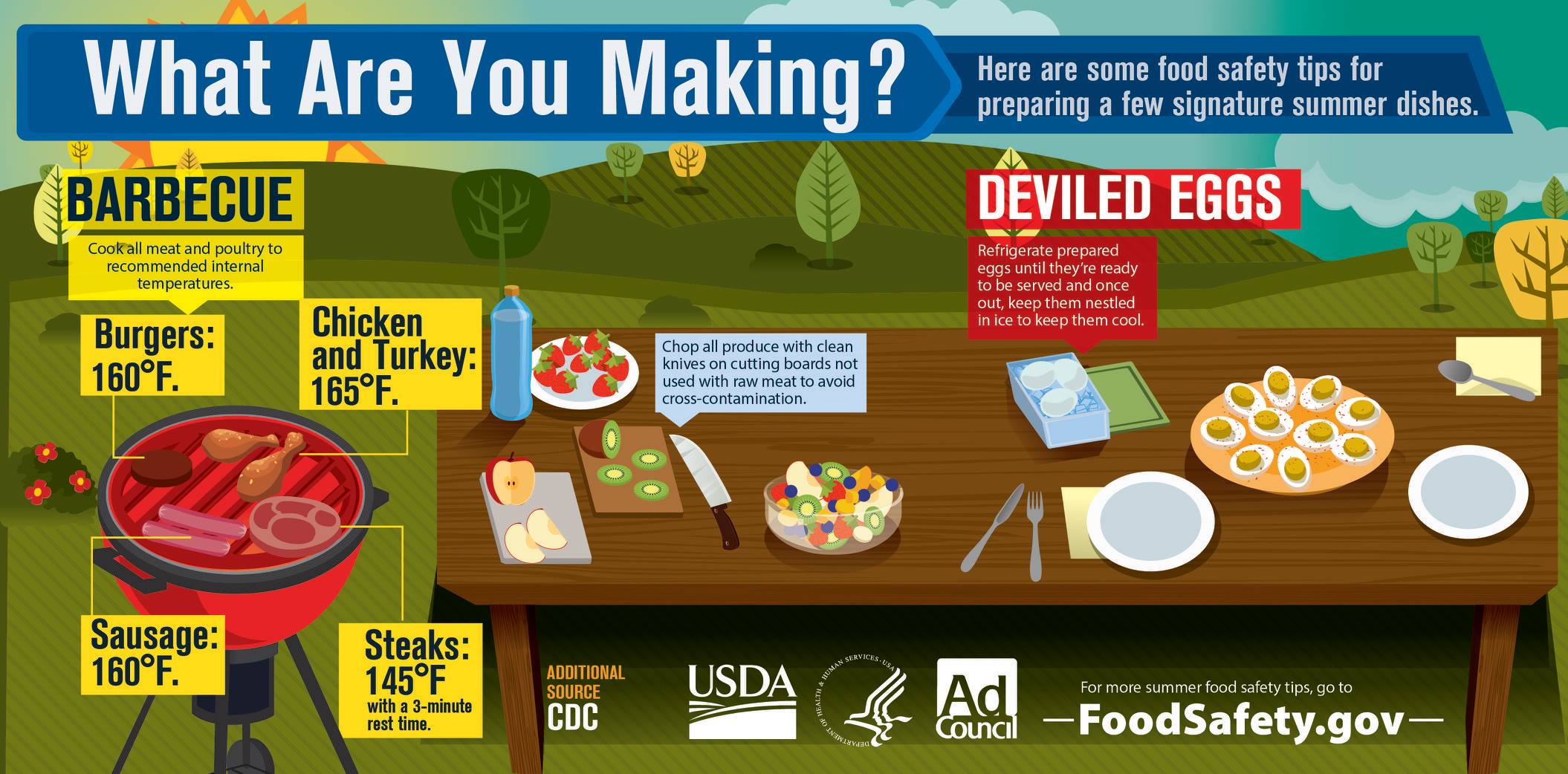 Meat and Poultry Temperature Guide Infographic : Food Network, Grilling  and Summer How-Tos, Recipes and Ideas : Food Network