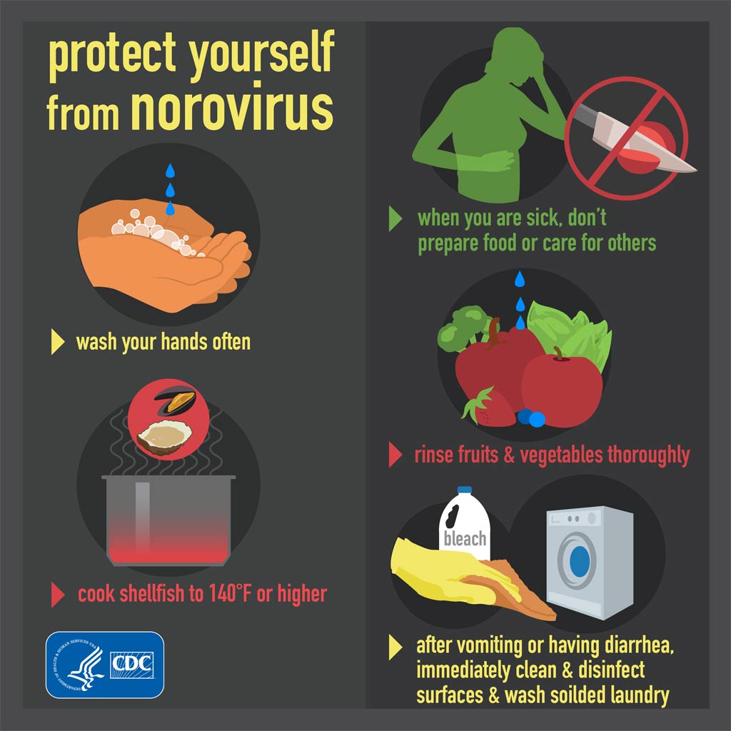 cdc-norovirus-info