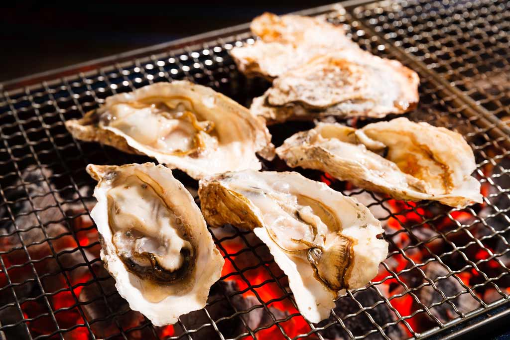 oysters_norovirus_food_illness_food_safety